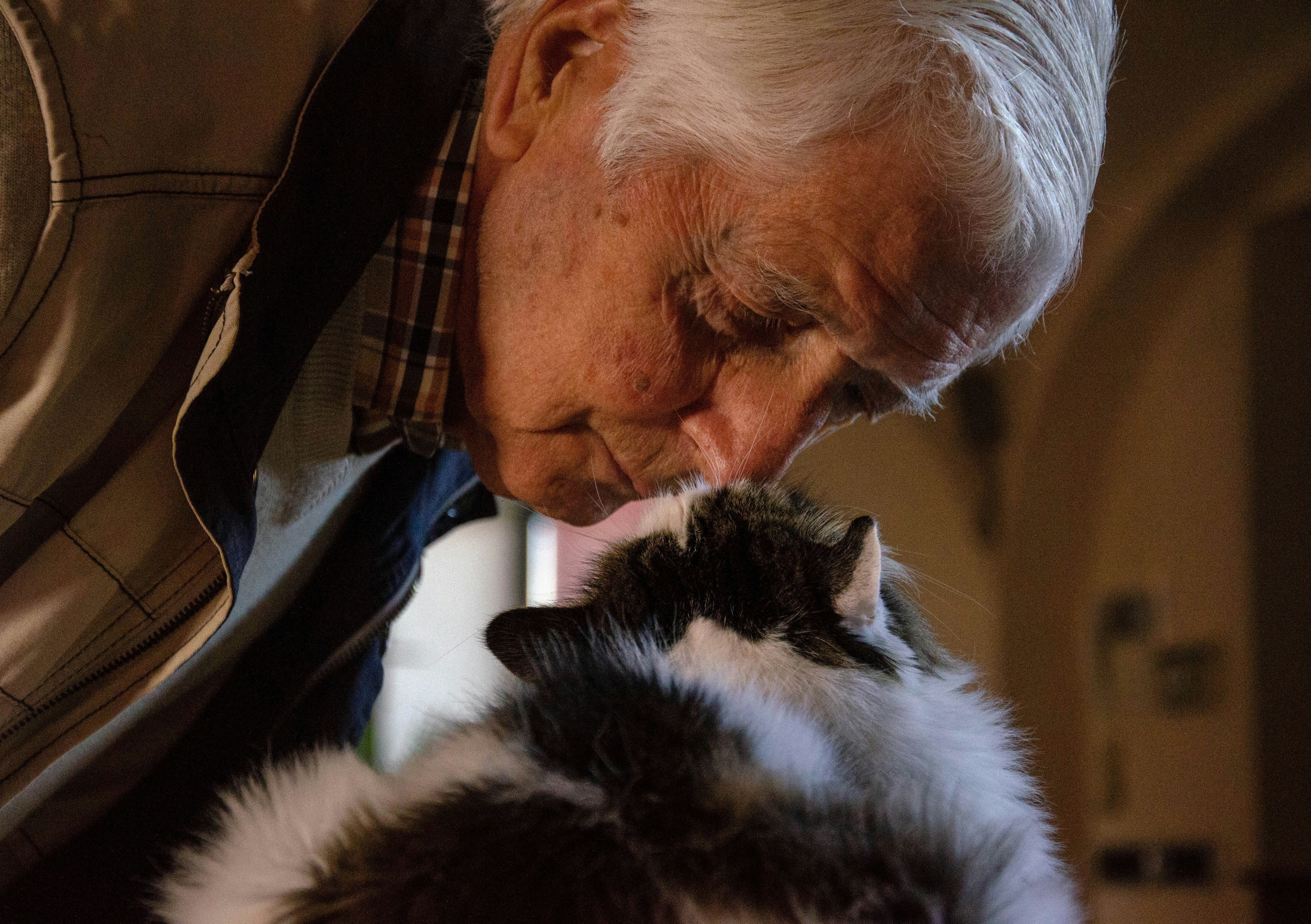 10. Beste vrienden worden met je kat