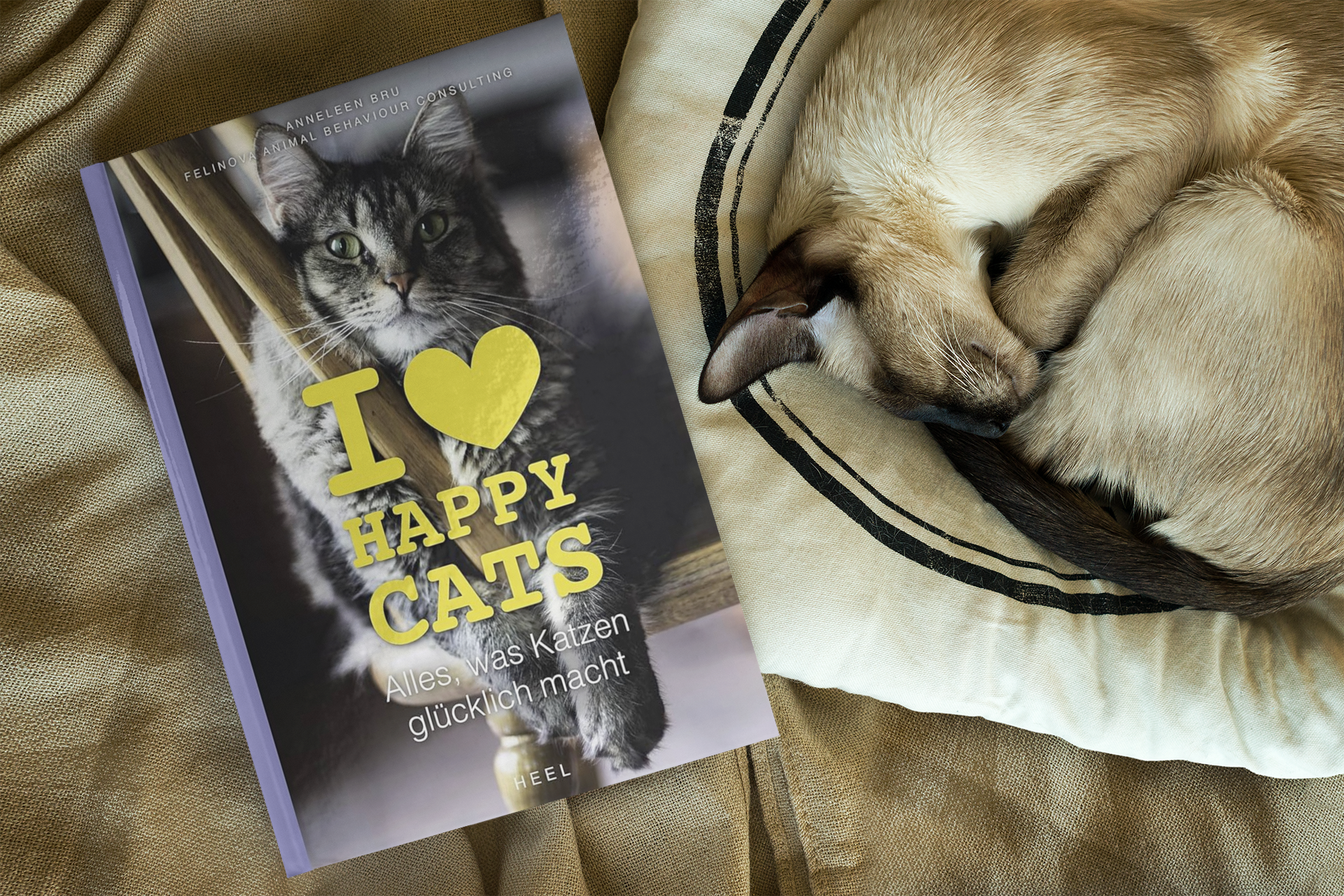 I Love Happy Cats - Alles was Katzen Glucklich macht