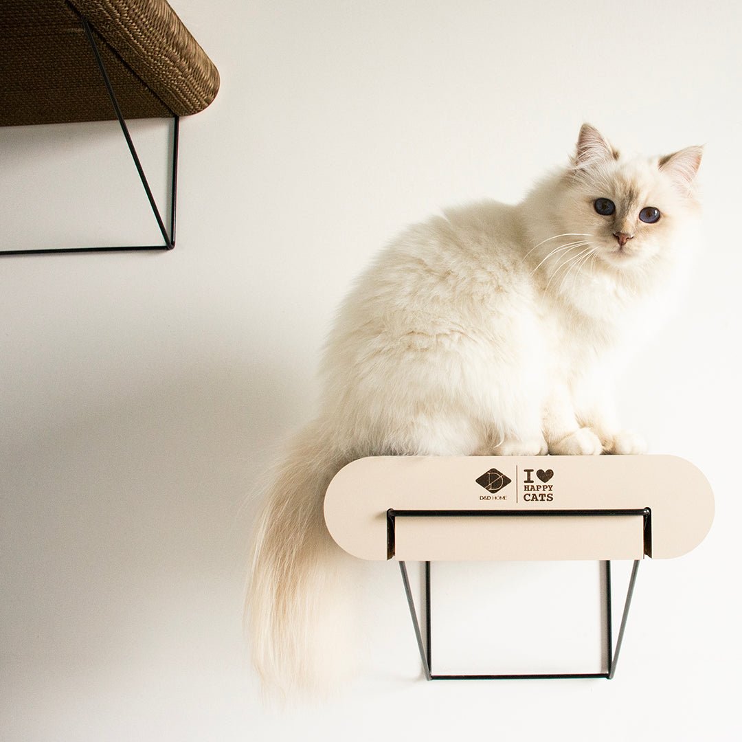 DAVID - Wandplank