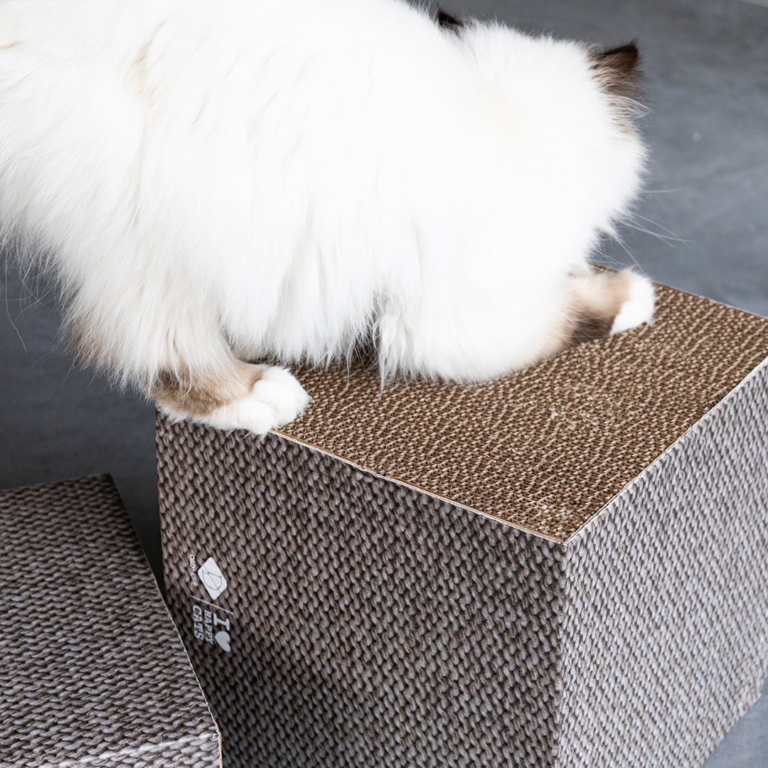FREYA  -  krabblokken