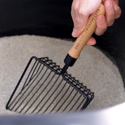 Kattenbakset Dean